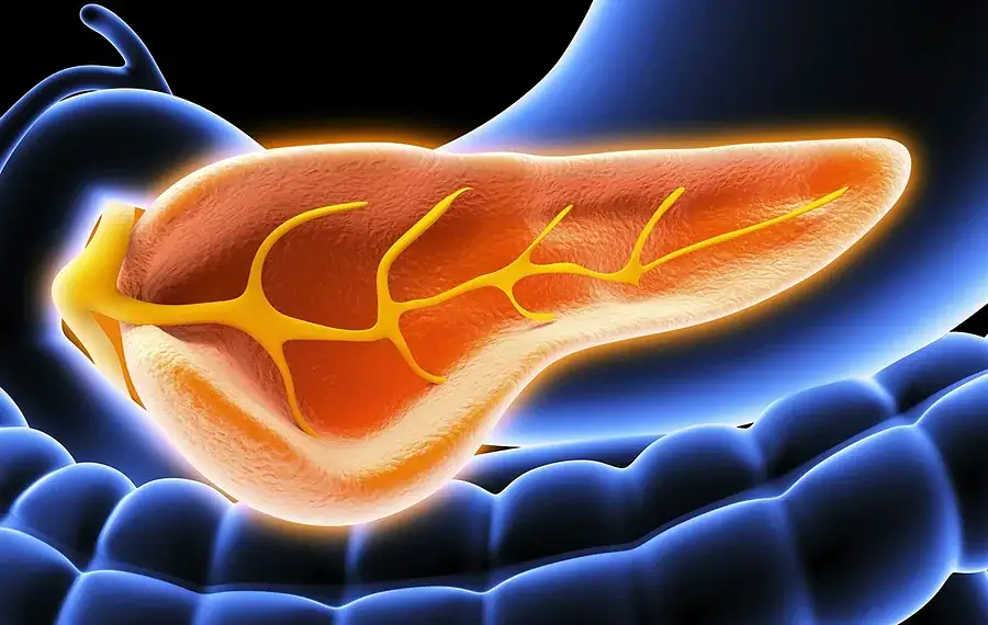 Gastroenterologista cita sinais quando o pâncreas está comprometido 1 Foto: Getty Images