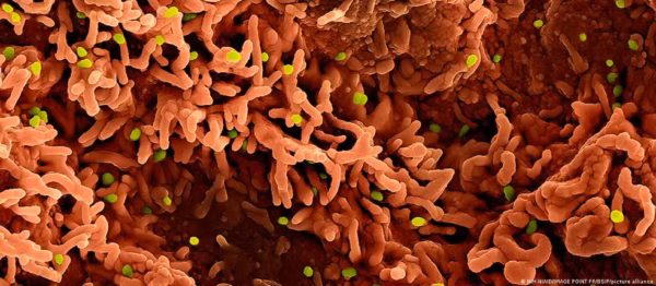 Os três vírus que podem desencadear novas crises em 2026