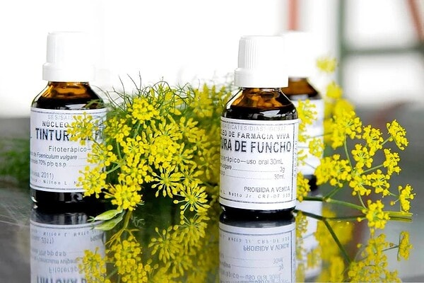 Farmácia Verde: projeto que libera uso de plantas medicinais na rede pública de Rio Branco é aprovado