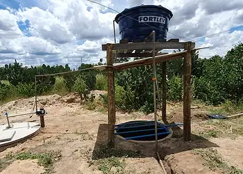 Cocô e xixi de porcos podem virar água potável (e até mesmo cerveja) com sistema de tratamento; entenda 6 Foto: Divulgação / Roseli Freire De Melo