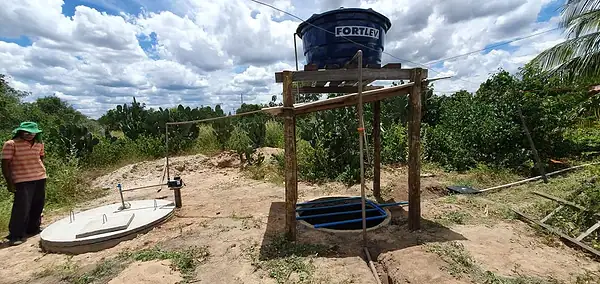 Cocô e xixi de porcos podem virar água potável (e até mesmo cerveja) com sistema de tratamento; entenda