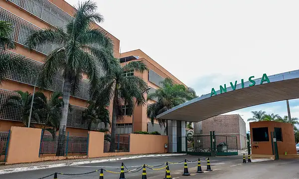 Anvisa: suplementos com cúrcuma podem trazer risco de danos ao fígado