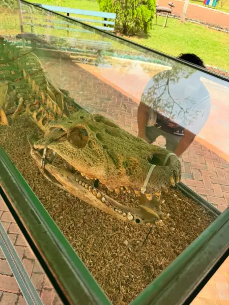 Whindersson Nunes visita Parque Chico Mendes e relembra legado do ativista no Acre; VÍDEO