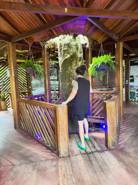 Whindersson Nunes visita Parque Chico Mendes e relembra legado do ativista no Acre; VÍDEO