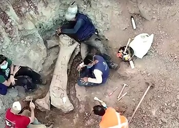 Dasosaurus tocantinensis — Foto: Reuters