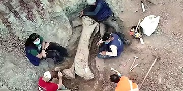 Dasosaurus tocantinensis — Foto: Reuters