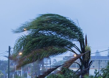Ventos fortes provocaram mais de 1,6 mil ocorrências na rede elétrica do Acre em 2025