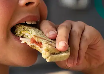Vereadores derrubam veto e aprovam programa de merenda escolar adaptada para alunos com restrições alimentares