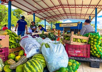 Incentivo à agricultura familiar. Foto: cedida