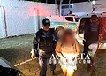 Polícia fecha ponto de tráfico e prende dupla no bairro Geraldo Fleming