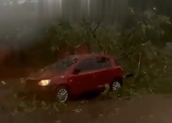 VÍDEO: Árvore cai sobre carro durante temporal em Rio Branco