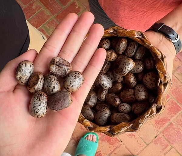 VÍDEO: Whindersson visita museu em Rio Branco e destaca nordestinos no ciclo da borracha: “ligação ficou mais forte”