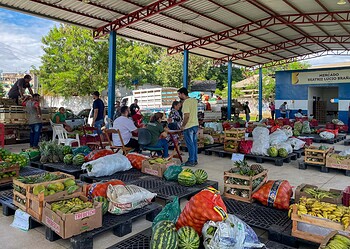 Foto: Rafael Barros/Seagri.