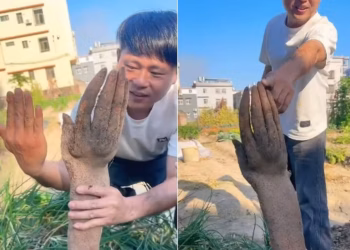 Agricultor chinês colheu inhame em forma de mão e antebraço humanos — Foto: Reprodução/X
