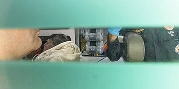 Bolsonaro está estável e tem melhora da função renal, diz boletim médico