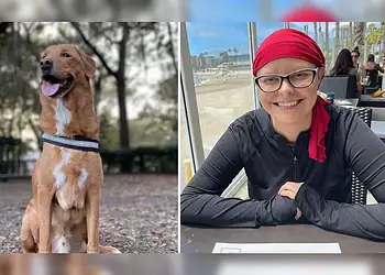 Mulher descobre câncer após cachorro ter comportamento estranho 4 Foto: Reprodução / Redes Sociais