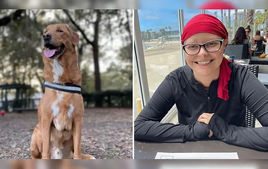 Mulher descobre câncer após cachorro ter comportamento estranho 1 Foto: Reprodução / Redes Sociais