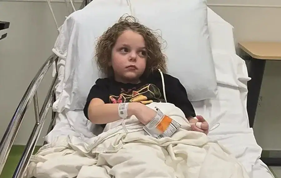 Foto: Reprodução – Go Found Me