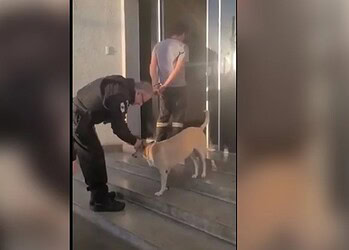 Foto: Reprodução/@delegadoamirsalmen