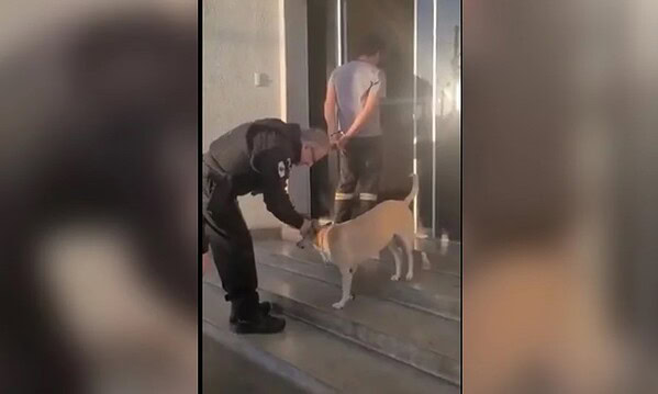 Reação de policial ao se deparar com cachorro durante prisão viraliza. Veja vídeo