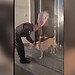 Reação de policial ao se deparar com cachorro durante prisão viraliza. Veja vídeo 9 Foto: Reprodução/@delegadoamirsalmen
