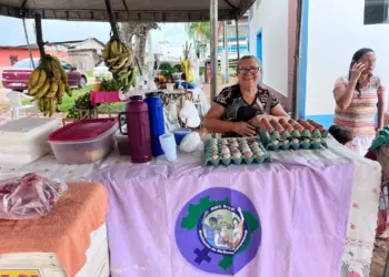 Seminário do Movimento de Mulheres Camponesas debate segurança alimentar e agroecologia no Acre